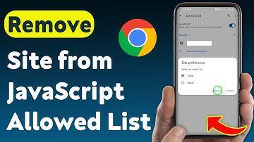 How to Remove a Site from JavaScript Allowed List in Chrome (Updated)