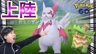 ポケモンgo ザングース緊急来日 ルンパッパも作ってやるぜ 雨ポケ活 Youtube