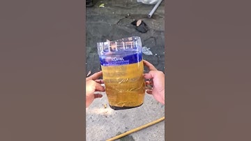 Cá Betta bị Lừ Đừ, Không kè?? #short