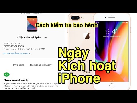 Cách kiểm tra ngày kích hoạt và hạn bảo hành iPhone chính xác