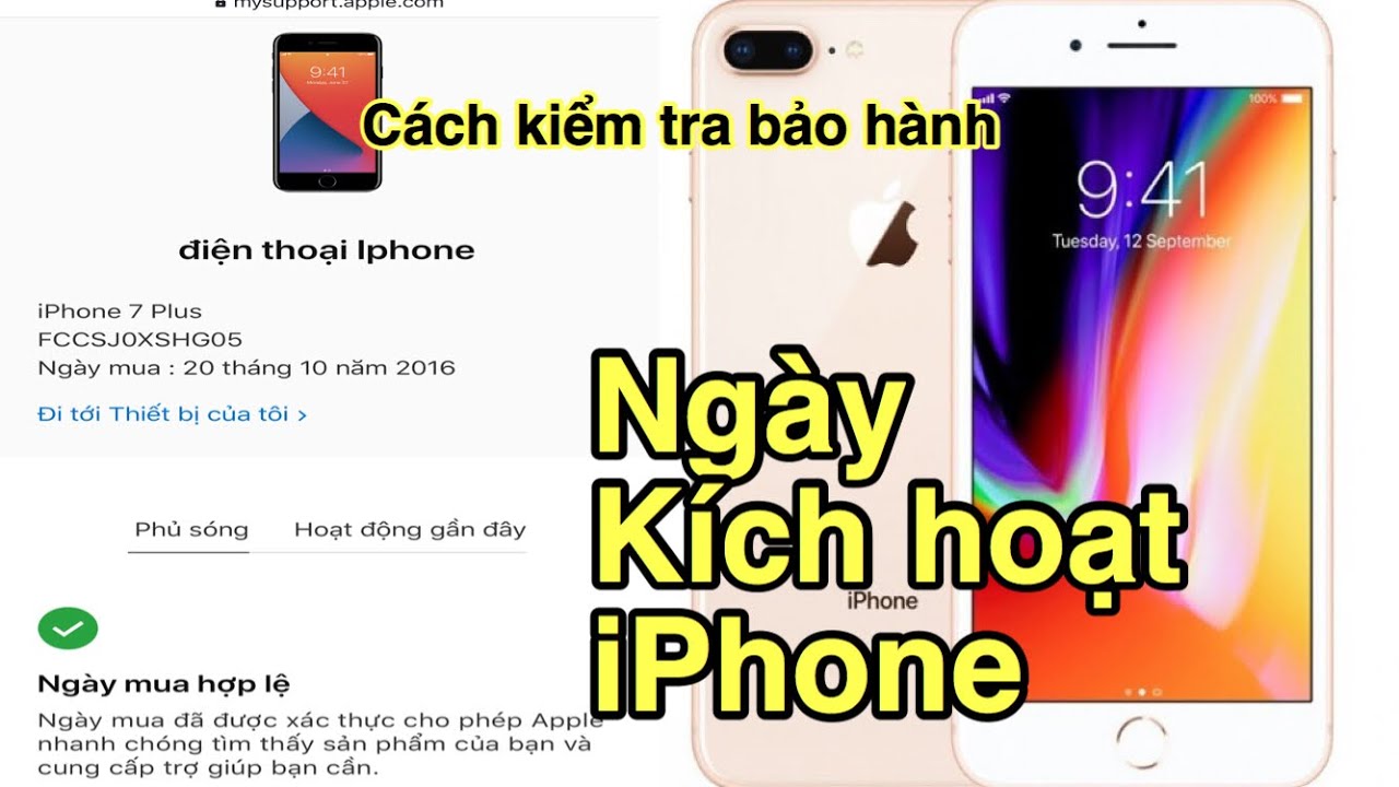 Cách kiểm tra ngày kích hoạt và hạn bảo hành iPhone chính xác