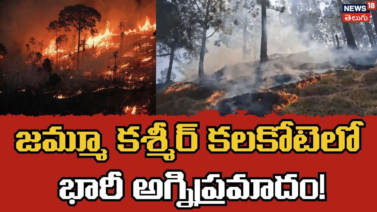 Massive Forest Fire Erupts in Kalakote Range, J&K |  | కాశ్మీర్‌లో అగ్నిప్రమాదం | N18V