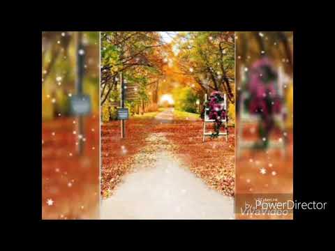 ابعاد كنتم ولا قريبين لين الحايك الكلمات     