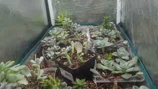 Wednesday's underground update y'all