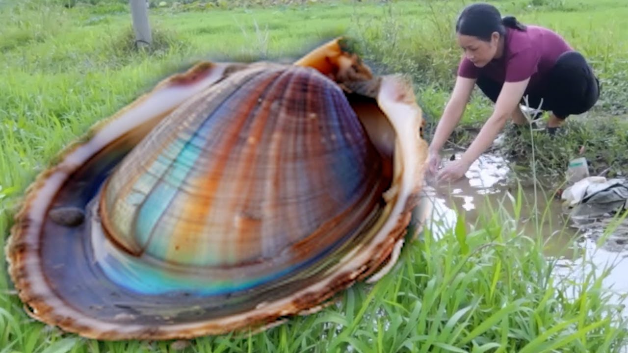 She dug clam shells under the green grass to pick black pearls, and ...