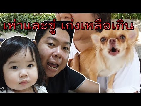 ปรับพฤติกรรมน้องชิวาว่า ขู่ เห่า ให้ยอมรับเจ้าของและหยุดพฤติกรรมที่ไม่ดี(มีนา)