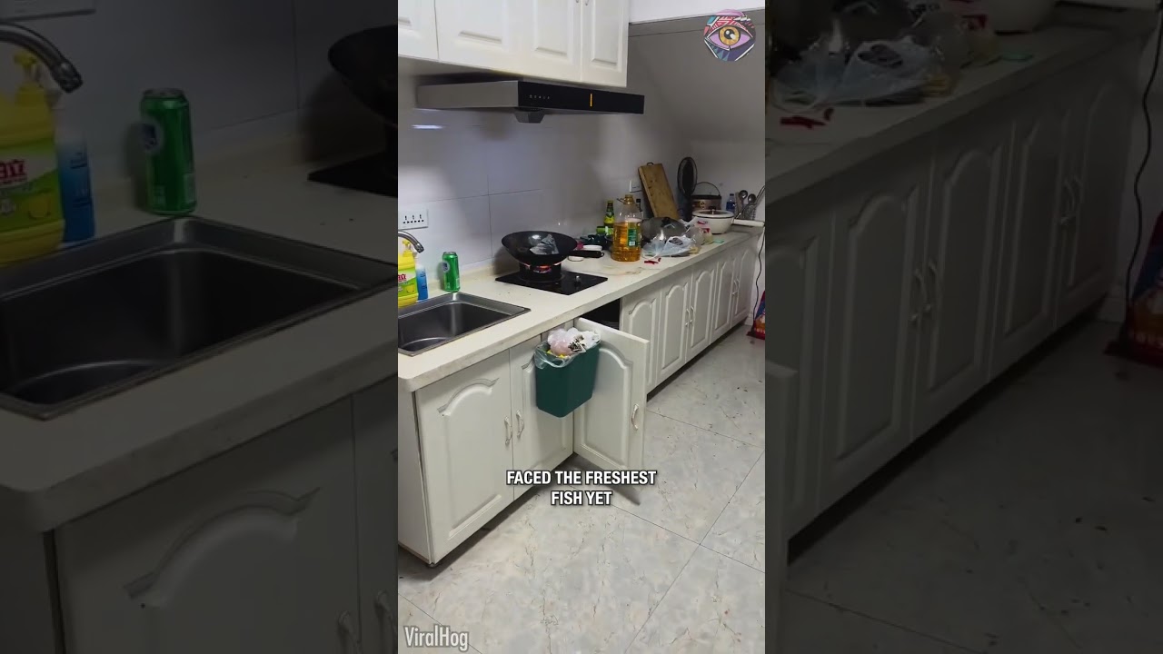 Jumping Fish Chaos in the Kitchen 😂🔥