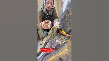 पांच सोमवार पांच बेलपत्र का उपाय जरूर से करें #pradeepmishrajidhankeupay #plants