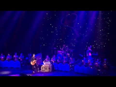 Sleep Walk - The Brian Setzer Orchestra : Live in Japan