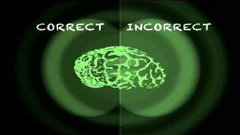LSBF Global MBA - Introduction to Individual Differences & Learning