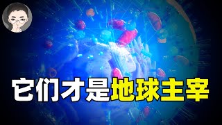 微生物背後的故事：因呼籲洗手而被毒打至死的「醫學叛徒」 | 回到Axton