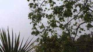 Stormy Weather - Carlsbad CA