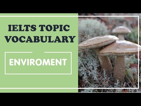 IELTS Vocabulary Band 8 : Environment