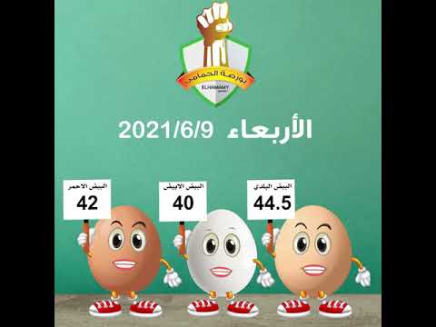 اسعار بورصة الحمامى للبيض اليوم الأربعاء   