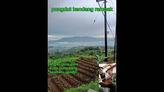 Download Lagu pongdut mantap MP3