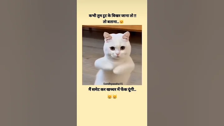 #viral #funny #trending #cat #trendingshorts #youtubeshorts #viralvideo #viralshort #funnycats #yt