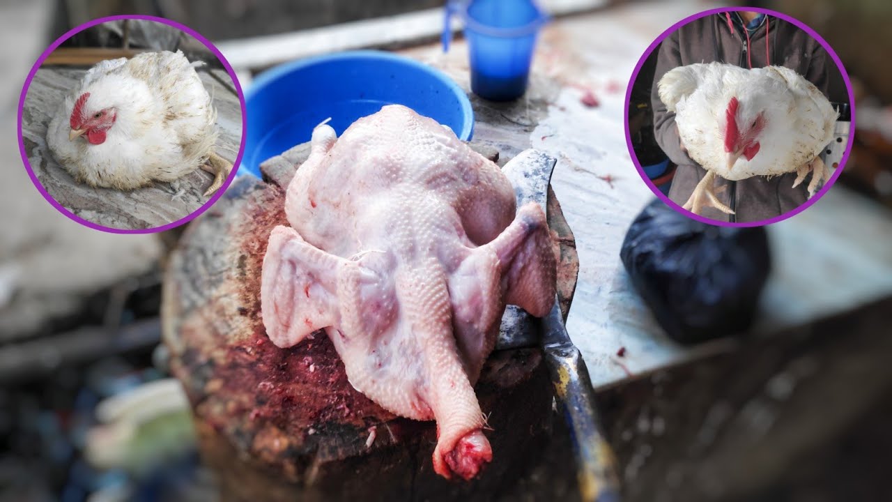 Super Fast Chicken Cutting Skills || How To Cut Whole Chicken ||🐔🐓