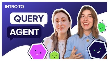 The Query Agent