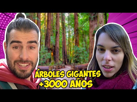 Video: Parques nacionales cerca de San Francisco