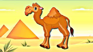 Kids Puzzle Funny Animals For Children Education And Entatainment Purpose Camel Cartoon