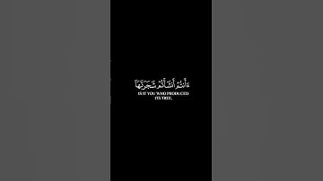أفرأيتم النار التي تورون || يوتيوب #ياسر_الدوسري سورة الواقعة #قرآن #اكسبلور #quran #trending