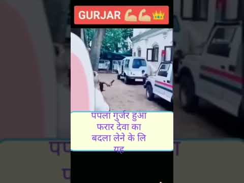 वीडियो: जैरी फेरारा नेट वर्थ