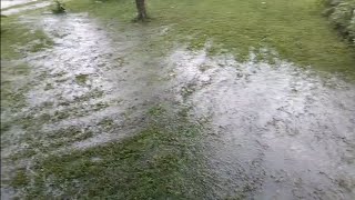 The garden floods (Yes, again)