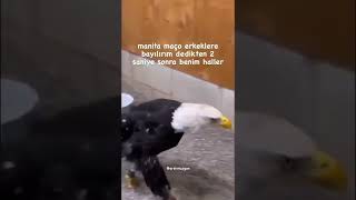 Ne Konuşacanlan Ne Konuşacan Olum Sen