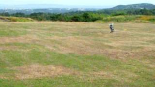 Gibby's HK 450 -  Low Inverted hover & flight