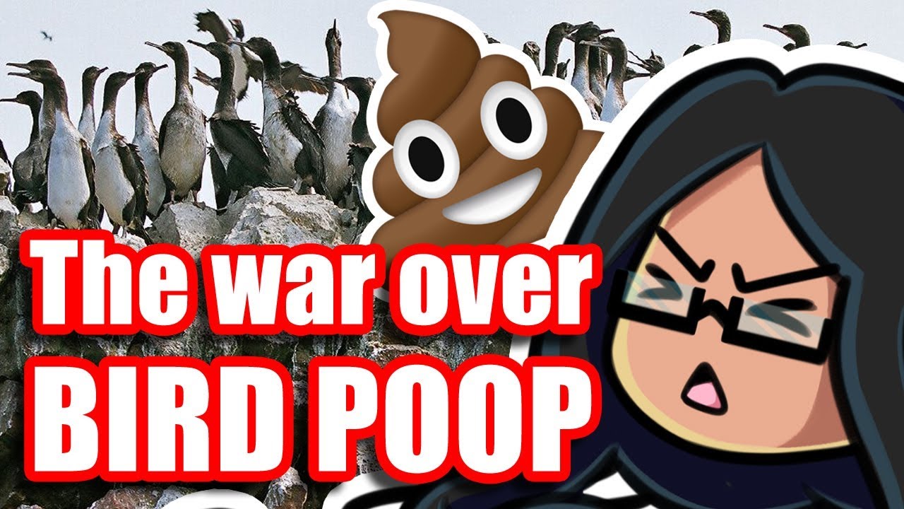 5 Countries Fight Over Bird Poop: The Chincha Islands War - A Space Alien Explains