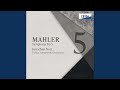 Miniature de la vidéo de la chanson Symphony No. 5 In C Sharp Minor - V. Rondo-Finale. Allegro