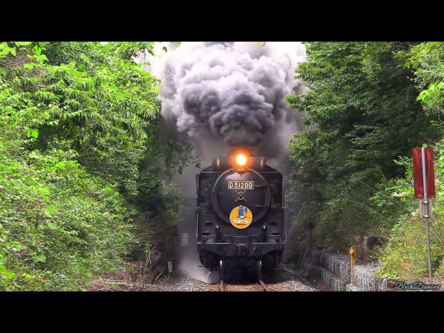 梅雨入り】 SLやまぐち号 D51200号機 2026.6.6 Japanese Steam