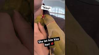 He’s still scared of her though 😆 #talkingbird #talkingparrot #babyanimals #cutepets #dadandbaby