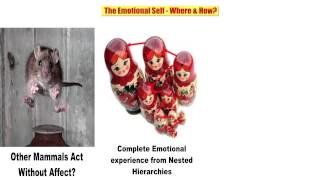 06 The Emotional Self   Where & How