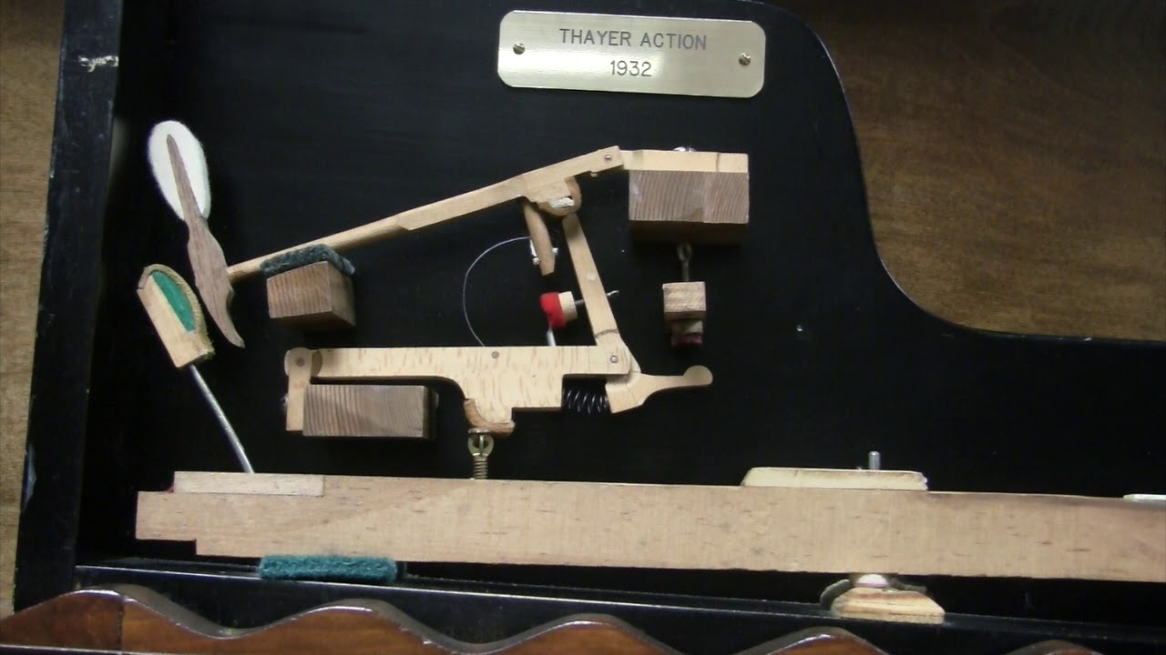 Thayer grand action model slow