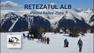 Retezatul Alb. Platoul Radeș - Zlata