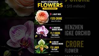 most expensive flowers 🌷🌹 in the world you don't know 😱 #flowers #expensive #trending   #ytshorts