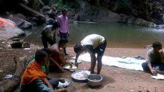 WP 20150707 009