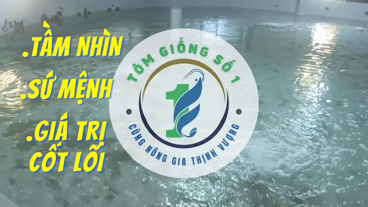 Tôm Giống Số 1: 3K+Super 