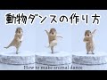 流行りの猫ダンスの作り方/動物を踊らせる方法【Photo Dance】
