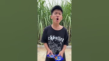 Cậu  Bé Mũ Vàng p12 | Lùn Tippi Trừng Phạt Áo Hồng - Tippi VIPs  #tippitv #shortstippitv