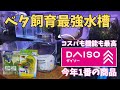 ダイソー今年1番商品。コスパ性能最強ベタの水槽!!
