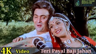 Teri Payal Baji Jahan 4K Video Song _Bade Ghar Ki Beti_ Meenakshi_Bolly Tahir Muzick  HD