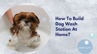 How To Build Dog Wash Station At Home? How To Build Dog Wash Station At Home?