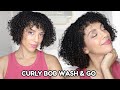 DETAILED Wash & Go for Curly Bob (FINE CURLY HAIR EDITION)