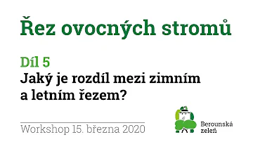 Proč jsou stromy pramenem síly a moudrosti?