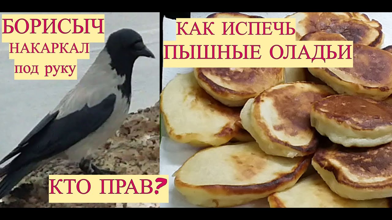 Борисыч авто новокосино