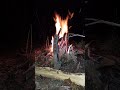 The secret of happiness is #outdoorcooking #survival #bushcraft #lonewolf #huntsman #hunting #wood