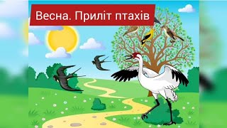 Заняття "Весна. Перелітні птахи"