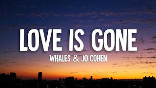 Whales & Jo Cohen - Love Is Gone (Lyrics) chords